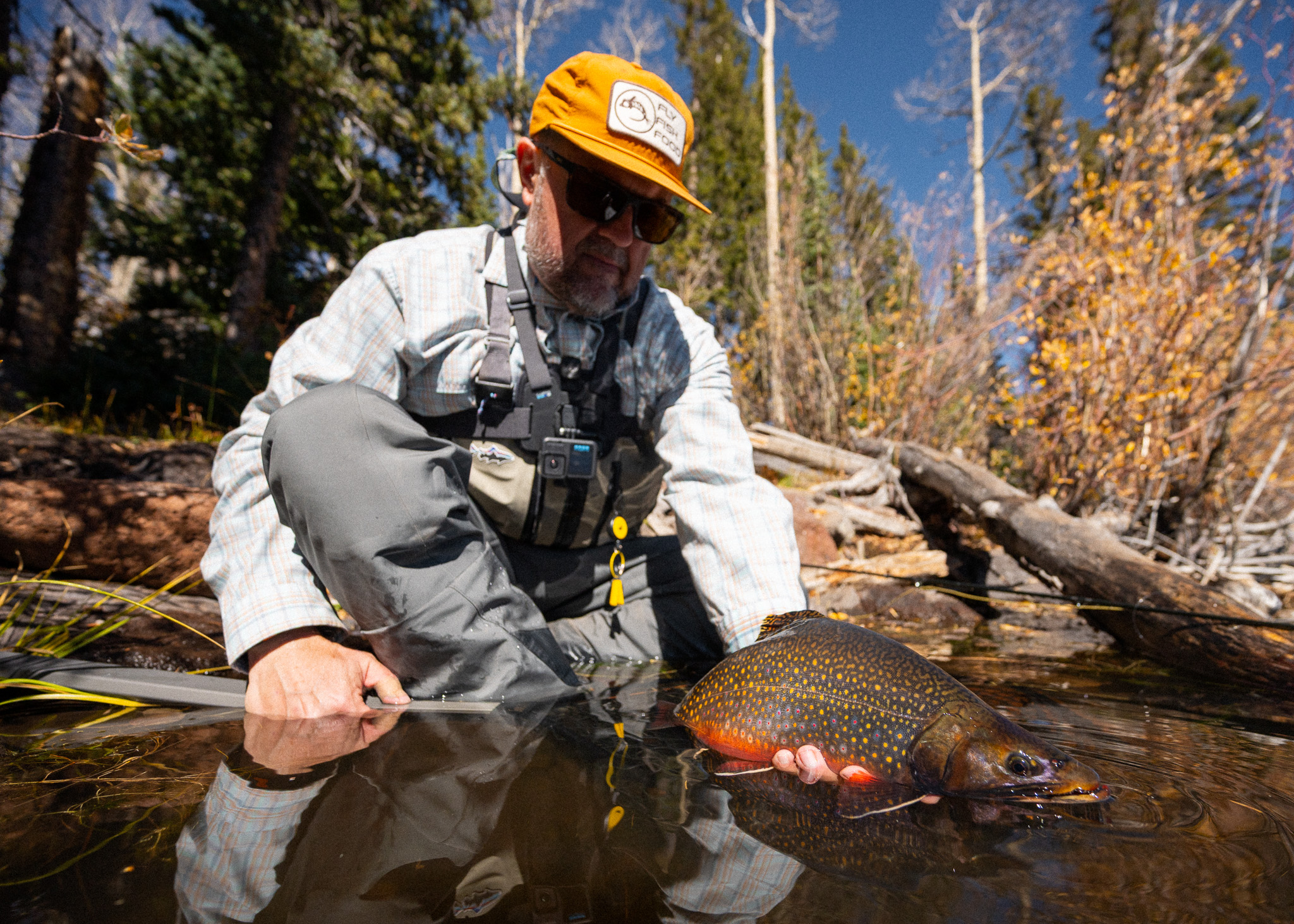 Advanced Strategies for Stillwater Fishing with Curtis Fry with FFF - Image 2