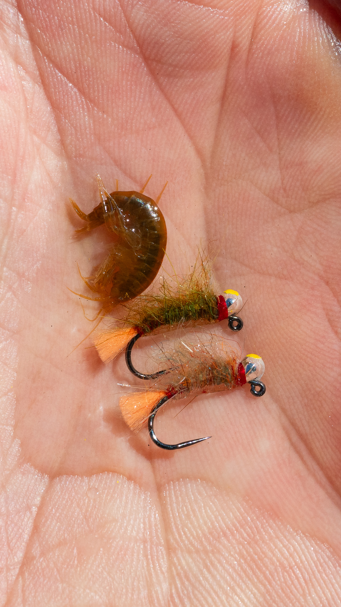 Advanced Strategies for Stillwater Fishing with Curtis Fry with FFF - Image 3