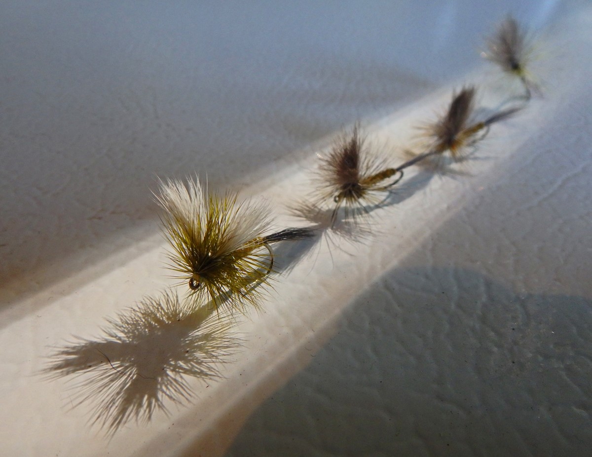 iPhone Fly Fishing Photography with Brian O’Keefe - Image 4